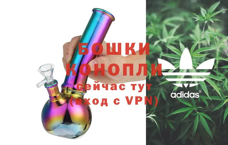 Конопля SATIVA & INDICA  Боровичи 